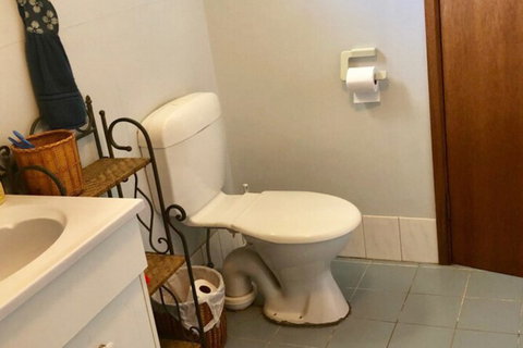 Pets Galore 13 Horizon Parade - Accommodation Newcastle 3