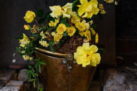 Sargeants & Armoury Cottages 1823 - Accommodation Newcastle 6