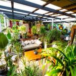 Jaspers Apartments - Accommodation Newcastle 0