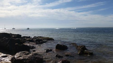 Pebbles Beach Retreat - Accommodation Newcastle 1