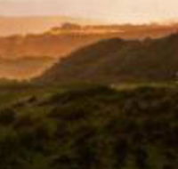 Mures Cloudy Bay Retreat - Accommodation Newcastle