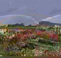Boat Harbour Garden Cottages - Accommodation Newcastle