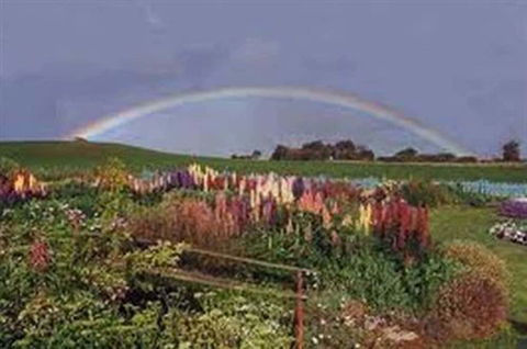 Boat Harbour Garden Cottages - Accommodation Newcastle 0