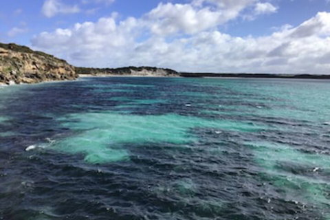 Koopalanda Dreaming - Accommodation Newcastle 0