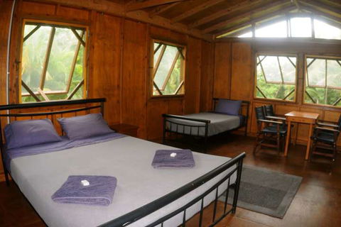 Daintree Rainforest Bungalows - Accommodation Newcastle 4