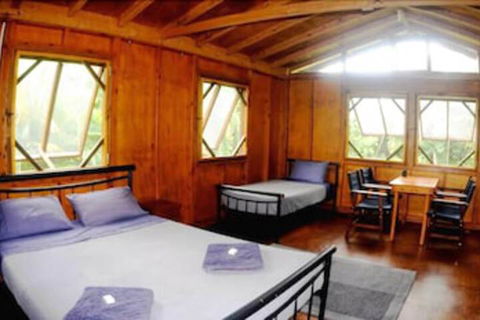 Daintree Rainforest Bungalows - Accommodation Newcastle 5