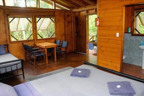 Daintree Rainforest Bungalows - Accommodation Newcastle 6