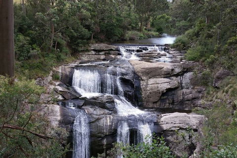 Toora Lodge Motel - Accommodation Newcastle 2