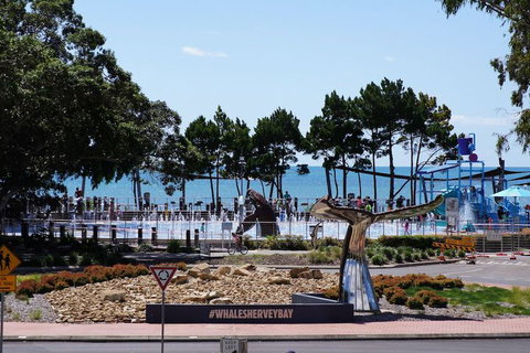 Beachside Motor Inn - Accommodation Newcastle 3