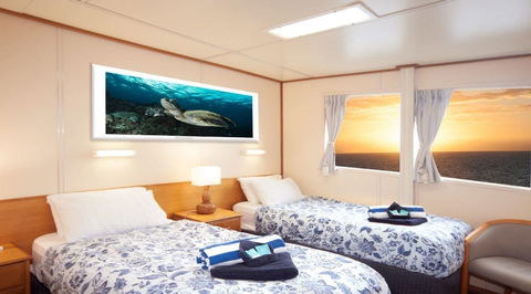 Reef Encounter - Accommodation Newcastle 2