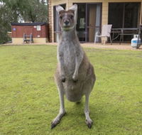 Yelverton Brook Conservation Sanctuary - Accommodation Newcastle