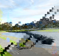 Amity Apartment Hotels - Accommodation Newcastle