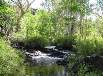 Mt Hart Homestead - Accommodation Newcastle 4