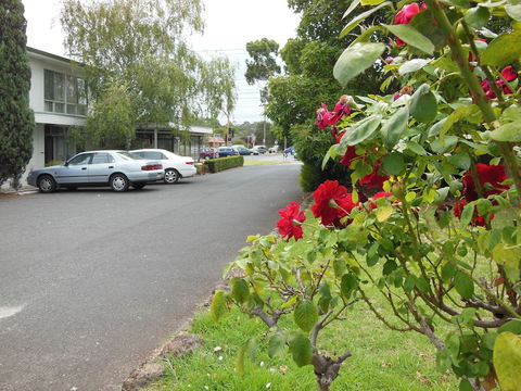 Ringwood Motel - Accommodation Newcastle 1