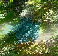Palm Cove Tropic Apartments - Accommodation Newcastle
