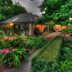 Liena TAS Accommodation Newcastle