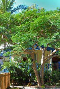 Ewingsdale NSW Accommodation Newcastle
