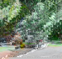 Oasis at Palm Cove - Accommodation Newcastle