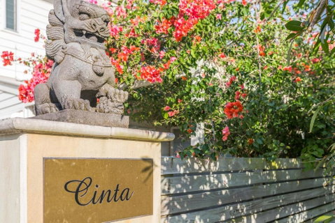 Aaman & Cinta Luxury Villas - Accommodation Newcastle 6