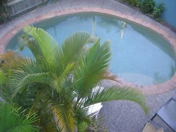 Noosa River Sandy Shores - Accommodation Newcastle 4