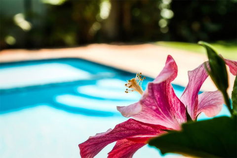 Coffs Harbour Holiday Apartments - Accommodation Newcastle 1