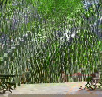 Azabu Boutique Accommodation Byron Bay - Accommodation Newcastle