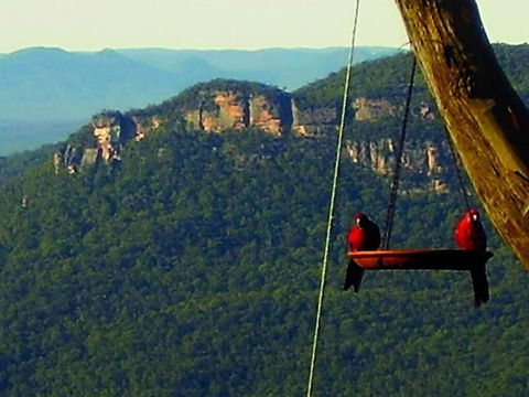 Valley Of The Waters B&B - Accommodation Newcastle 3