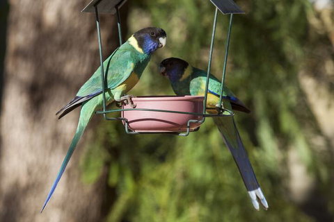 Kathys Place Bed And Breakfast - Accommodation Newcastle 2