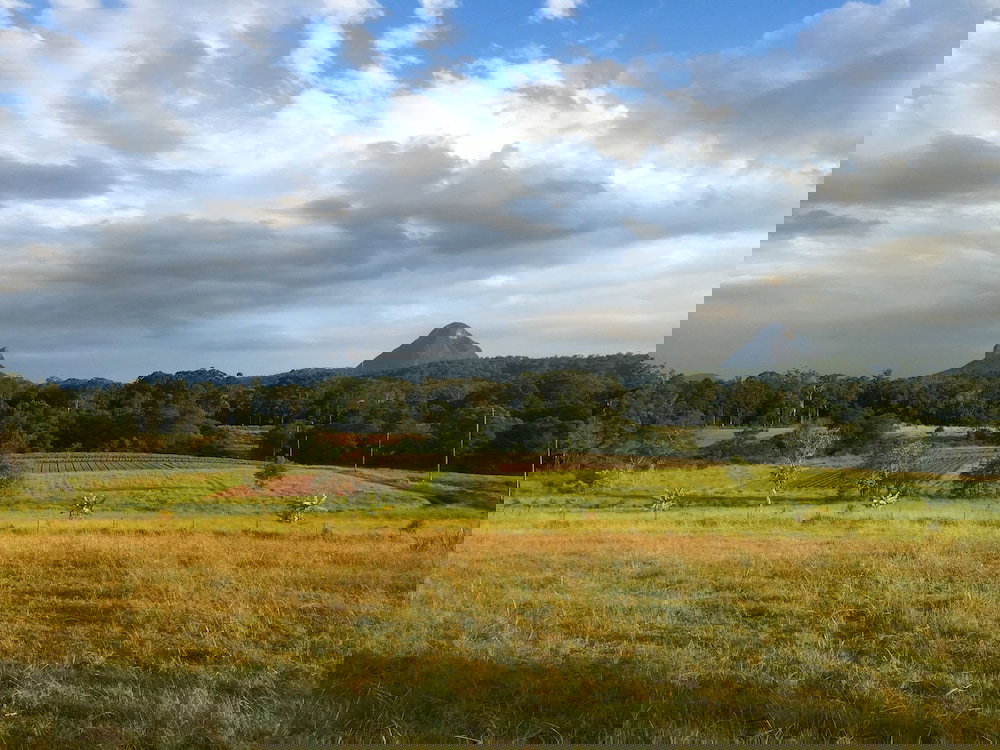 Crohamhurst QLD Accommodation Newcastle