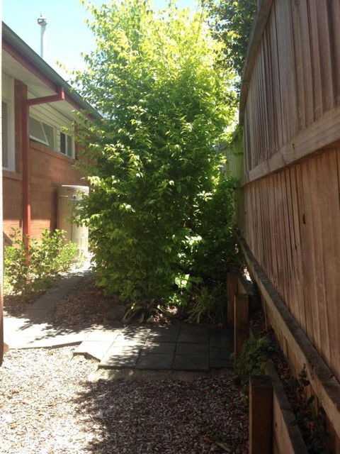 Thornleigh Garden View Comfortable & Tranquil - Accommodation Newcastle 7