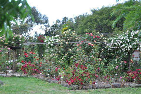 Fairy Wren Cottage Country To Coast Retreat - Accommodation Newcastle 6