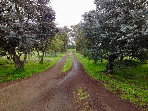 Fairy Wren Cottage Country To Coast Retreat - Accommodation Newcastle 4