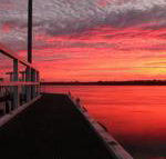 Fairy Wren Cottage Country to Coast Retreat - Accommodation Newcastle