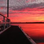 Fairy Wren Cottage Country To Coast Retreat - Accommodation Newcastle 0