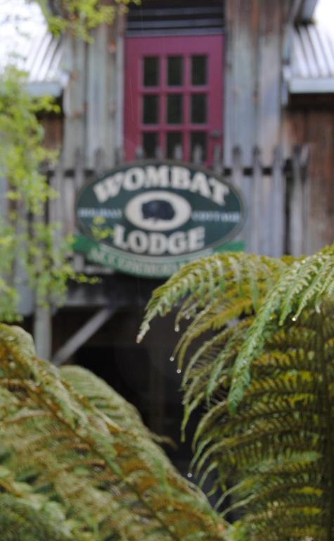 The Wombat Cottage - Accommodation Newcastle 1