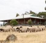 Gilgraves Vineyard Farmstay - Accommodation Newcastle