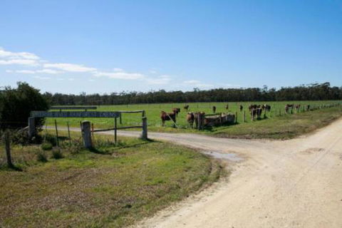 Brodribb River Rainforest Cabins Cabin 3 - Accommodation Newcastle 7