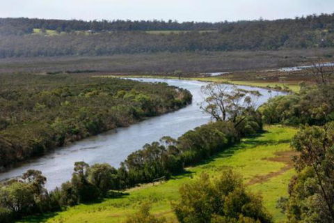 Brodribb River Rainforest Cabins Cabin 3 - Accommodation Newcastle 5