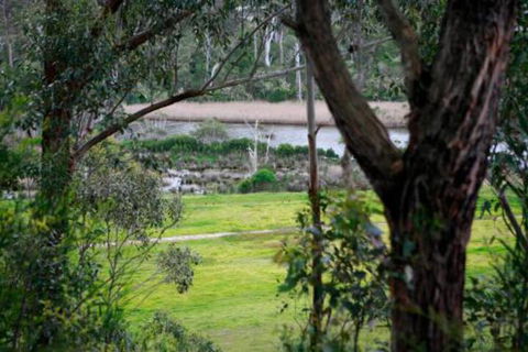 Brodribb River Rainforest Cabins Cabin 3 - Accommodation Newcastle 3