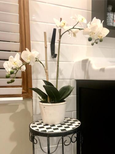 SEAeSCAPE Apollo Bay - Accommodation Newcastle 4