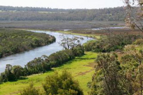 Brodribb River Rainforest Cabins Cabin 1 - Accommodation Newcastle 4