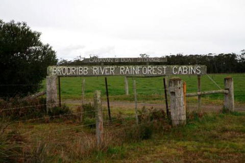 Brodribb River Rainforest Cabins Cabin 2 - Accommodation Newcastle 7