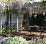 Windrush BnB Comboyne Australia - Accommodation Newcastle