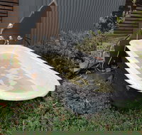 William Hunts Retreat Cypress Studio - Accommodation Newcastle