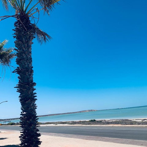 Bay Lodge - Accommodation Newcastle 2