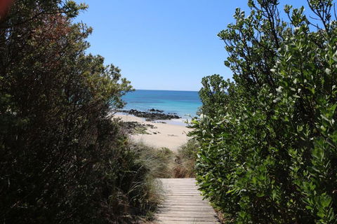 Sisters Beach Paradise - Accommodation Newcastle 2