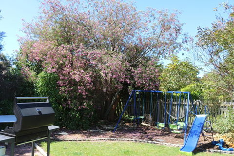Sisters Beach Paradise - Accommodation Newcastle 3