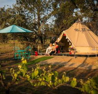 Grapevine Glamping - Accommodation Newcastle