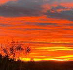 Studio with stunning mountain views - Accommodation Newcastle
