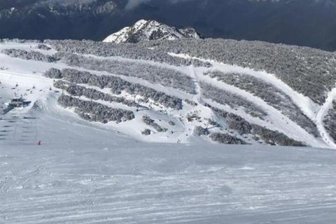 Winterbrook Chalet - Accommodation Newcastle 6